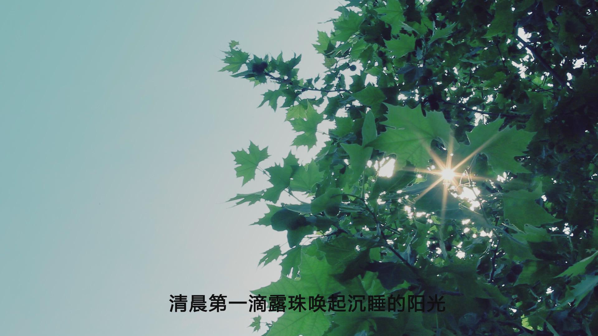 ֣̬ȵwangzhan